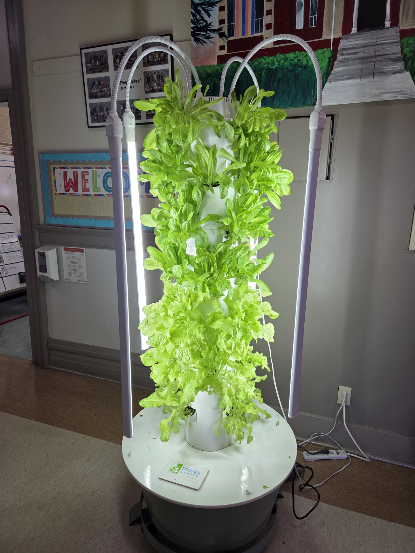 Elm Garden Tower2025