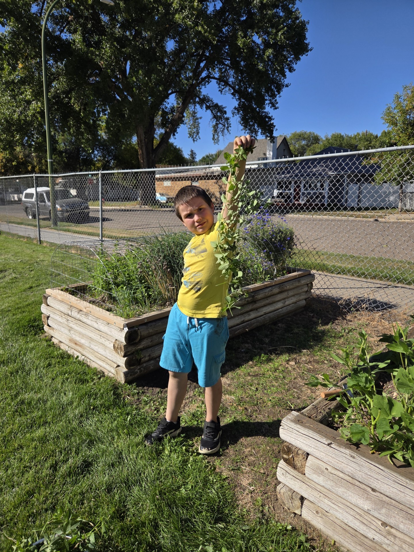 Elm 2025 Garden Harvest3