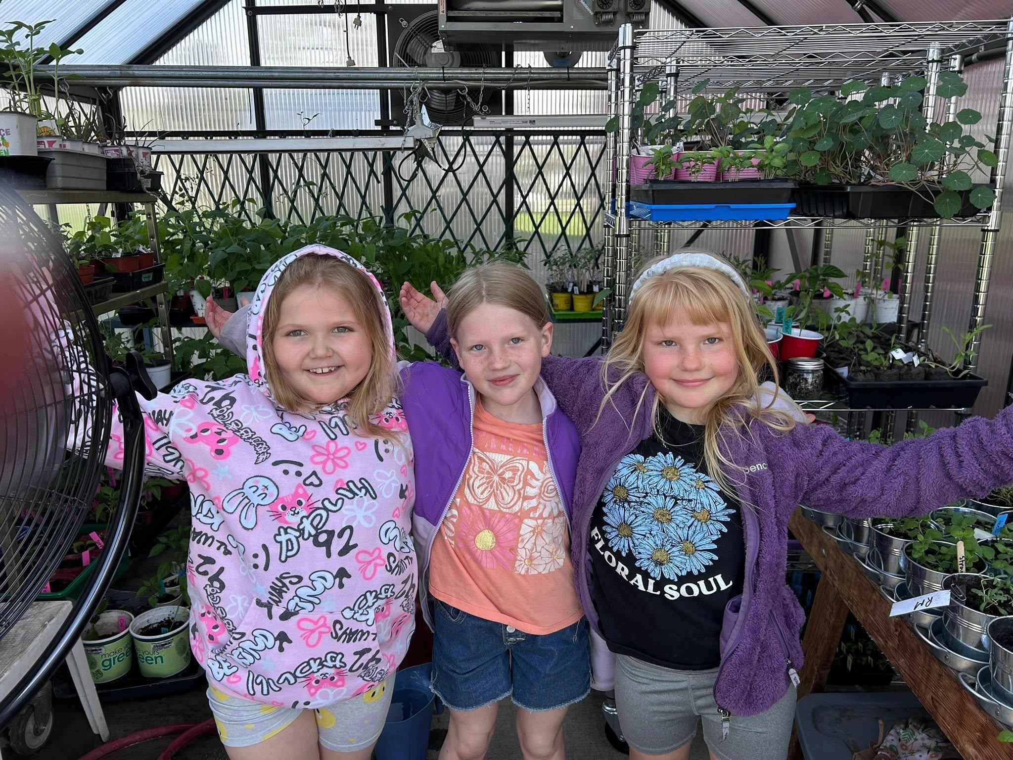 Elm 2025 Garden Club