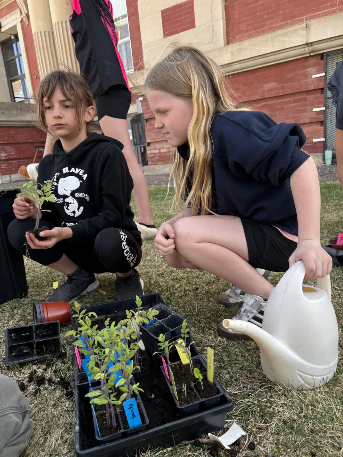 Elm 2026 Garden club planting1