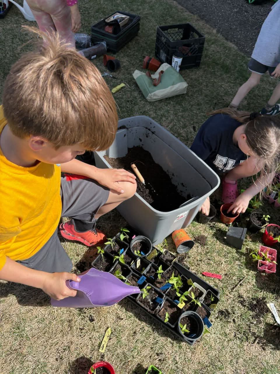 Elm 2026 Garden Club planting