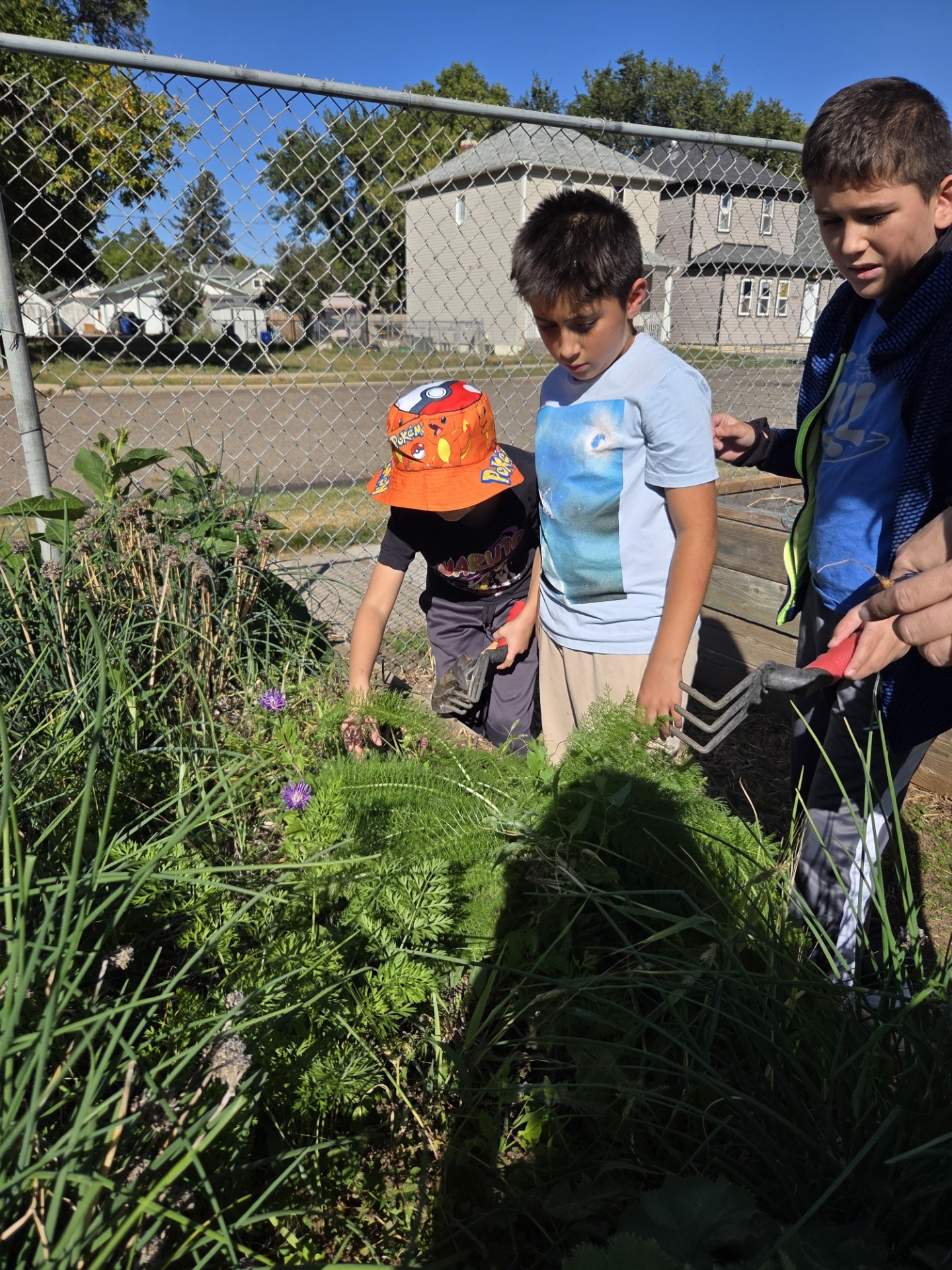 Elm 2025 Garden Harvest2
