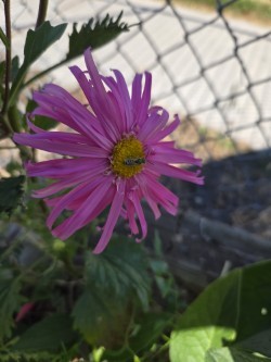 thumbnail 1000005685