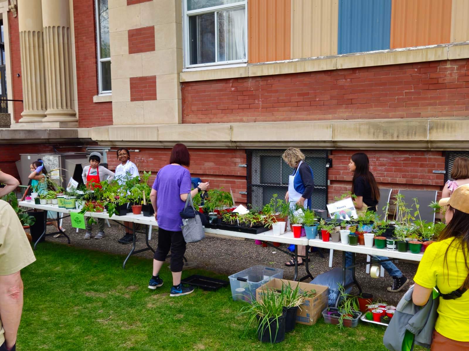 Elm Garden sale7 May 2024