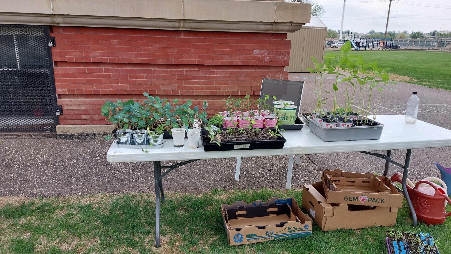 Elm Gardensale2025 1